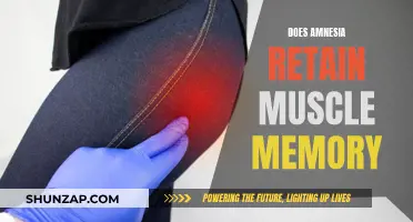 Amnesia and Muscle Memory: What's the Verdict?