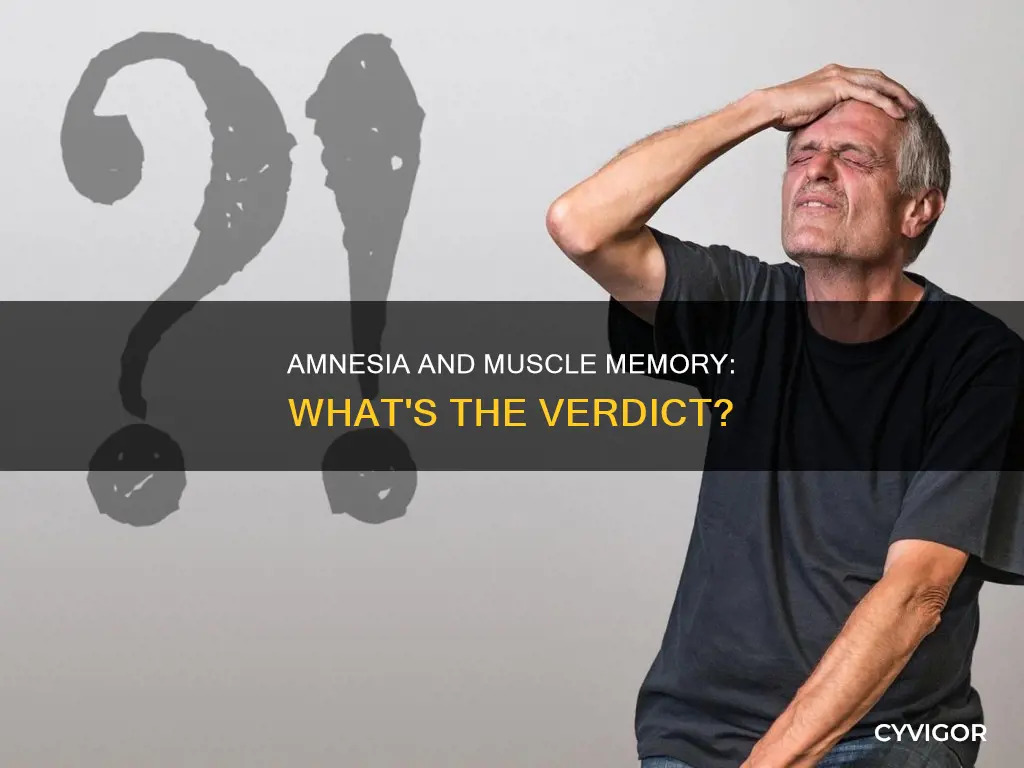 does amnesia retain muscle memory