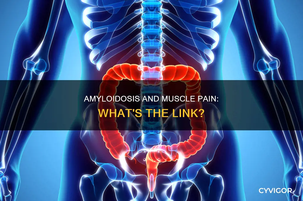 does amyloidosis cause muscle pain