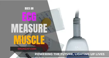 How ECG Measures Muscle Activity: An Insight