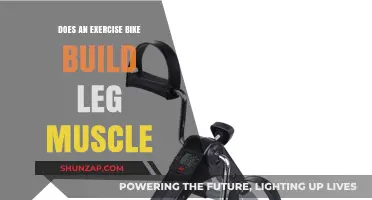 Pedal Power: Can an Exercise Bike Really Build Leg Muscle?