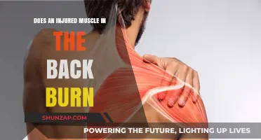 Does an Injured Muscle in the Back Burn? Understanding the Pain