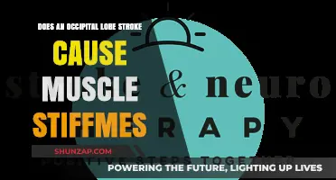 Stroke and Muscle Stiffness: Occipital Lobe's Role