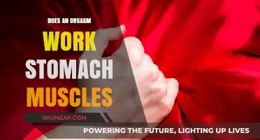 Orgasm and Core Strength: Unraveling the Stomach Muscle Connection