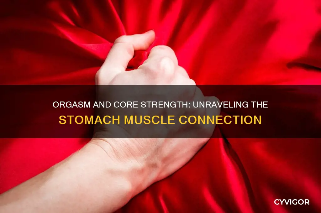 does an orgasm work stomach muscles