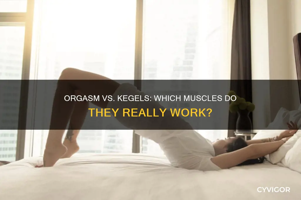 does an orgasm work the same muscles as kegels