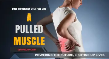 Ovarian Cyst or Pulled Muscle: Understanding the Pain Difference