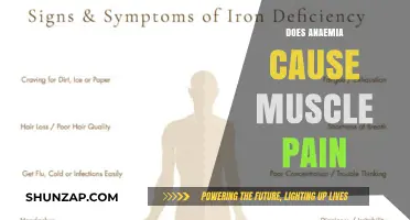 Anemia and Muscle Pain: What's the Link?