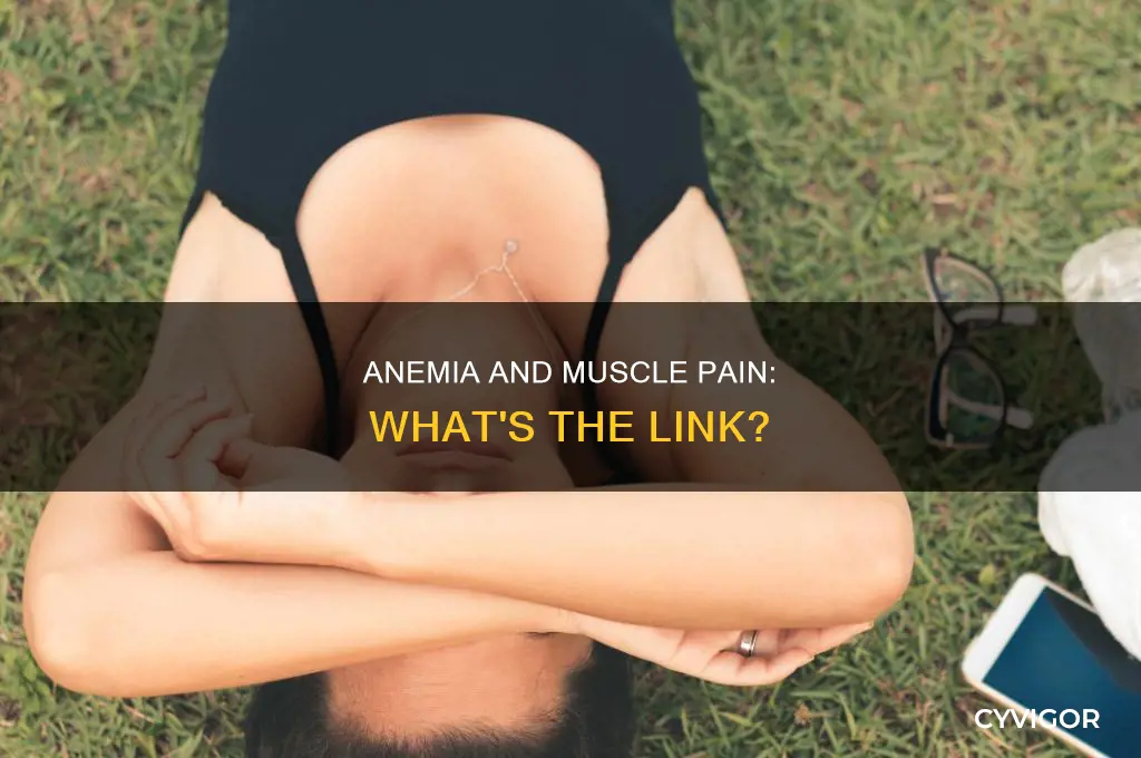 does anaemia cause muscle pain