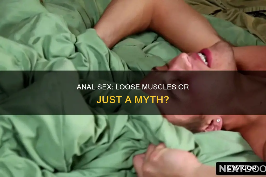does anal sex cause loose muscles