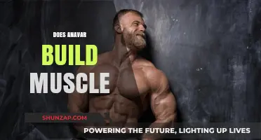 Unlocking the Truth: Anavar's Role in Muscle Building Explained