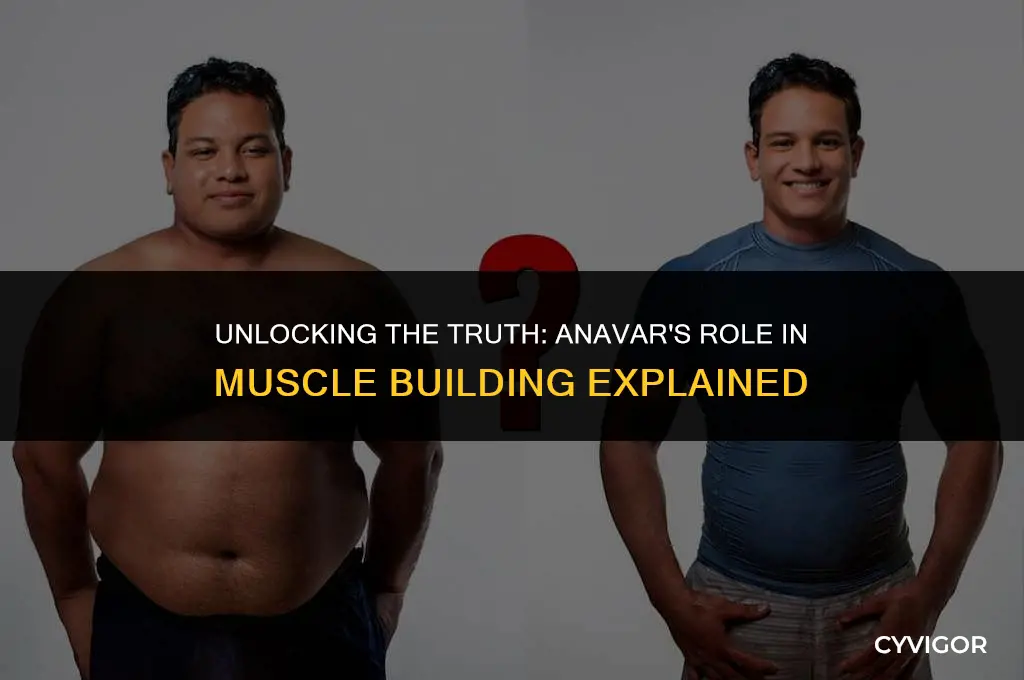 does anavar build muscle