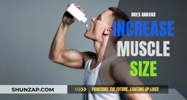 Anavar's Muscle-Building Benefits: Fact or Fiction?