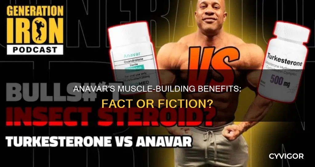 does anavar increase muscle size