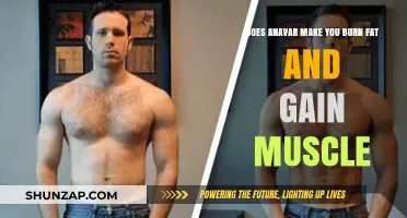 Anavar's Dual Role: Burning Fat While Building Muscle?