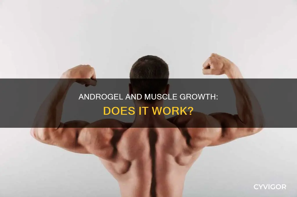 does androgel cause muscle growth