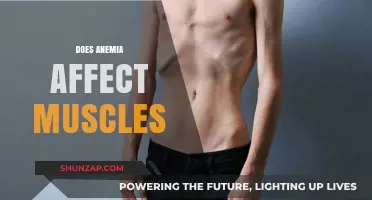 Exploring the Impact of Anemia on Muscle Health and Function