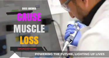 Anemia and Muscle Loss: What's the Connection?