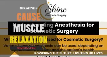 Anesthesia's Impact: Muscle Relaxation Explored
