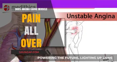 Angina and Muscle Pain: What's the Connection?