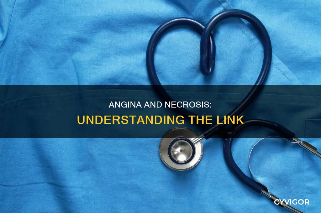 does angina causes some muscle tissue to die necrosis
