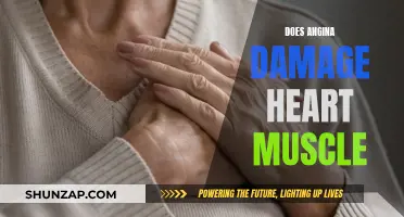 Angina and Heart Muscle: What's the Connection?