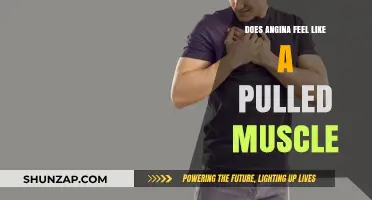 Angina vs. Pulled Muscle: Understanding the Difference in Chest Pain