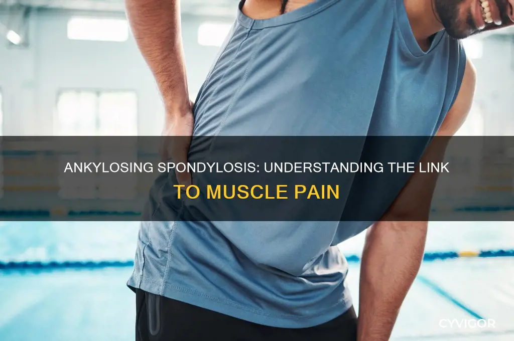 does ankylosing spindylosis cause muscle ache