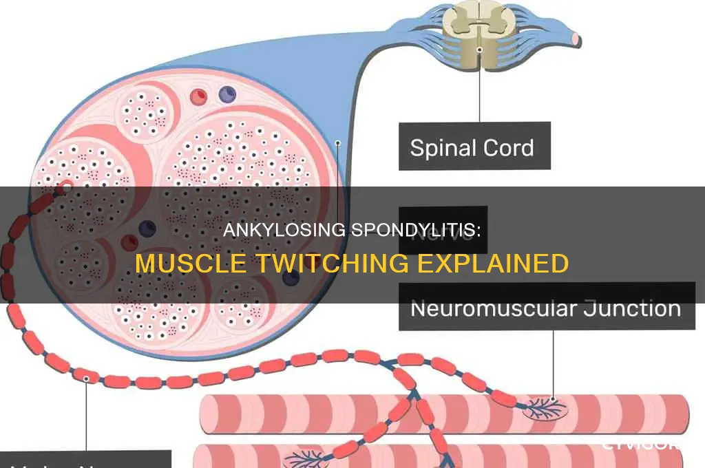 does ankylosing spondylitis cause muscle twitching