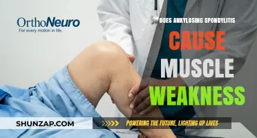 Ankylosing Spondylitis: Muscle Weakness and Its Connection