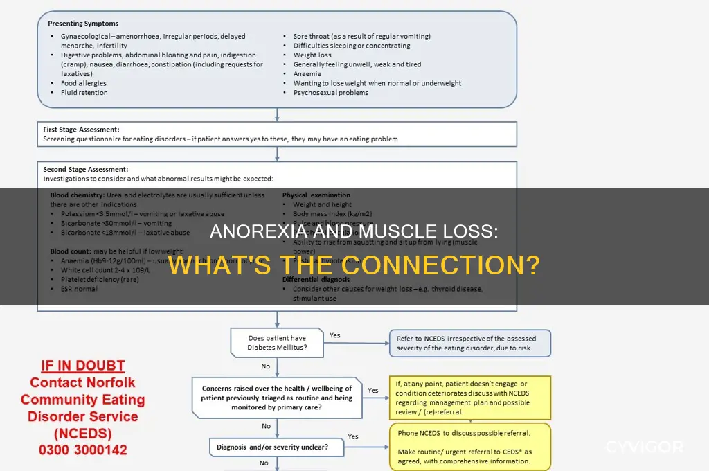 does anorexia cause muscle loss