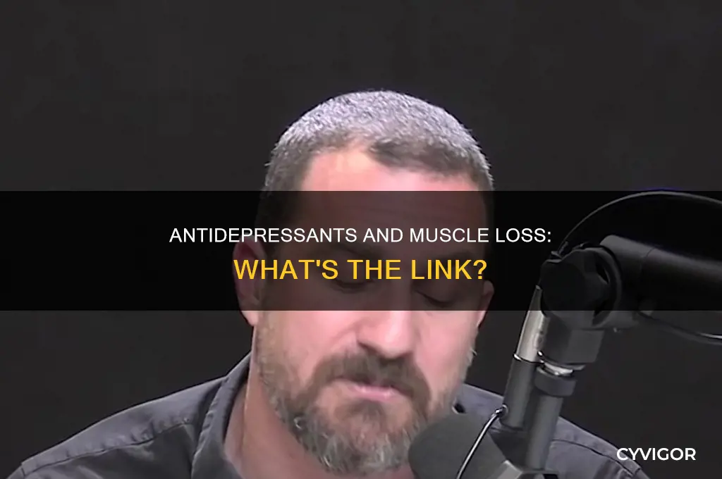 does antidepressant cause muscle loss
