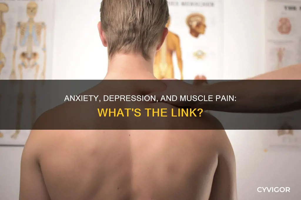 does anxiety and depression cause muscle pain