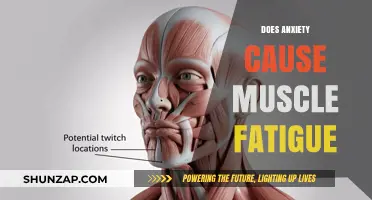 Anxiety's Link to Muscle Fatigue: Understanding the Connection