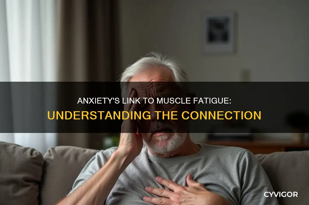 does anxiety cause muscle fatigue