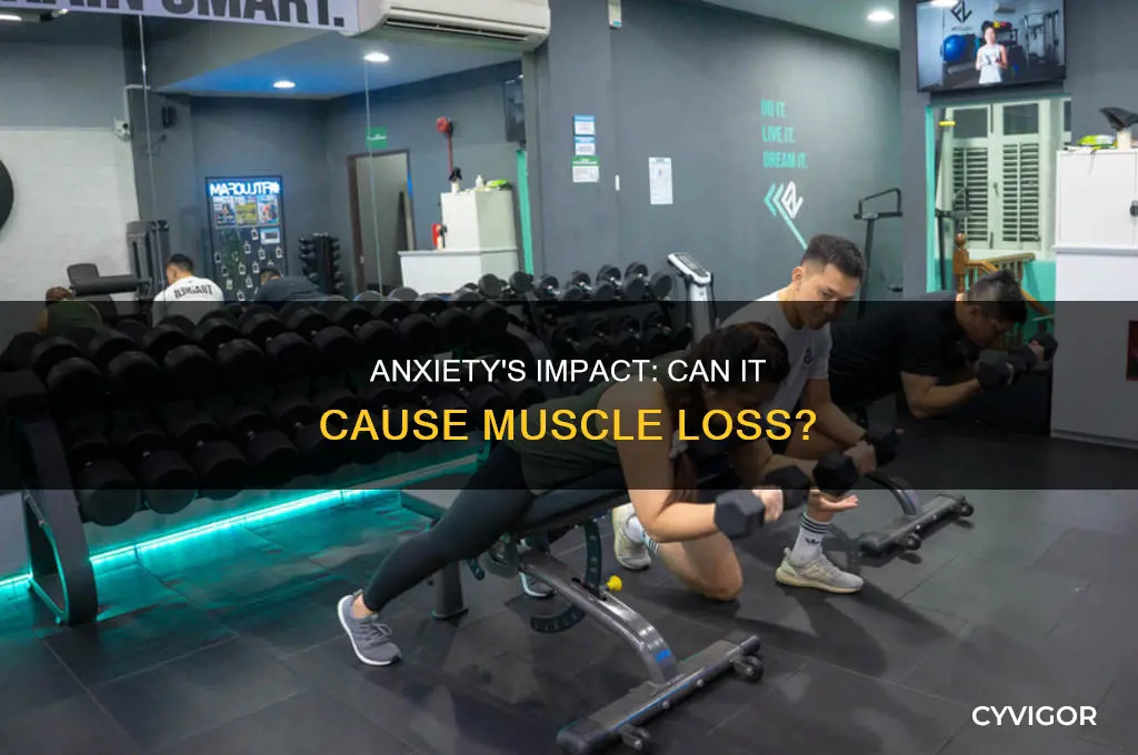 does anxiety cause muscle loss