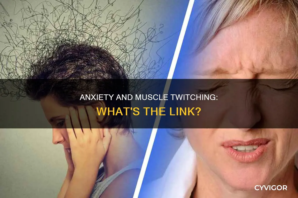 does anxiety cause muscle twitches