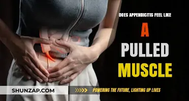 Appendicitis vs. Pulled Muscle: Unraveling the Pain Mystery