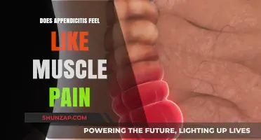 Appendicitis vs. Muscle Pain: Understanding the Key Differences and Symptoms