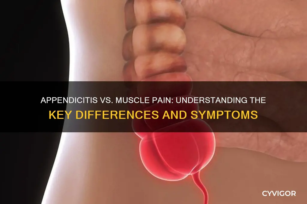 does appendicitis feel like muscle pain