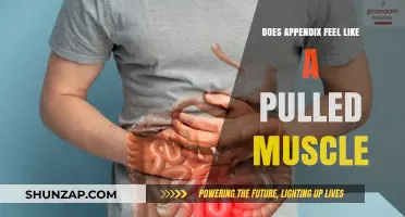 Appendix Pain vs. Pulled Muscle: How to Tell the Difference