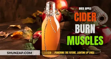 Apple Cider Vinegar: Muscle Burn or Myth?