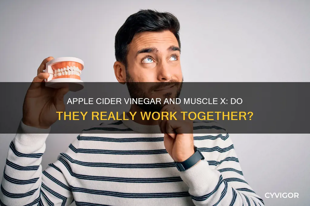 does apple cider vinegar and muscle x work