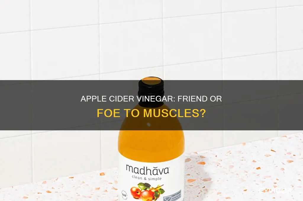 does apple cider vinegar cause muscle loss