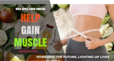 Can Apple Cider Vinegar Boost Muscle Growth? Facts and Myths