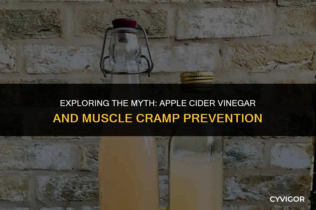 does apple cider vinegar prevent muscle cramps