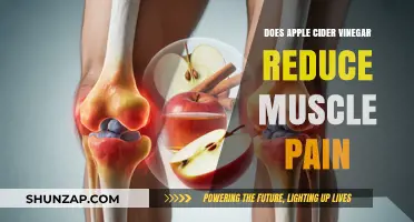 Apple Cider Vinegar for Muscle Pain Relief: Fact or Fiction?