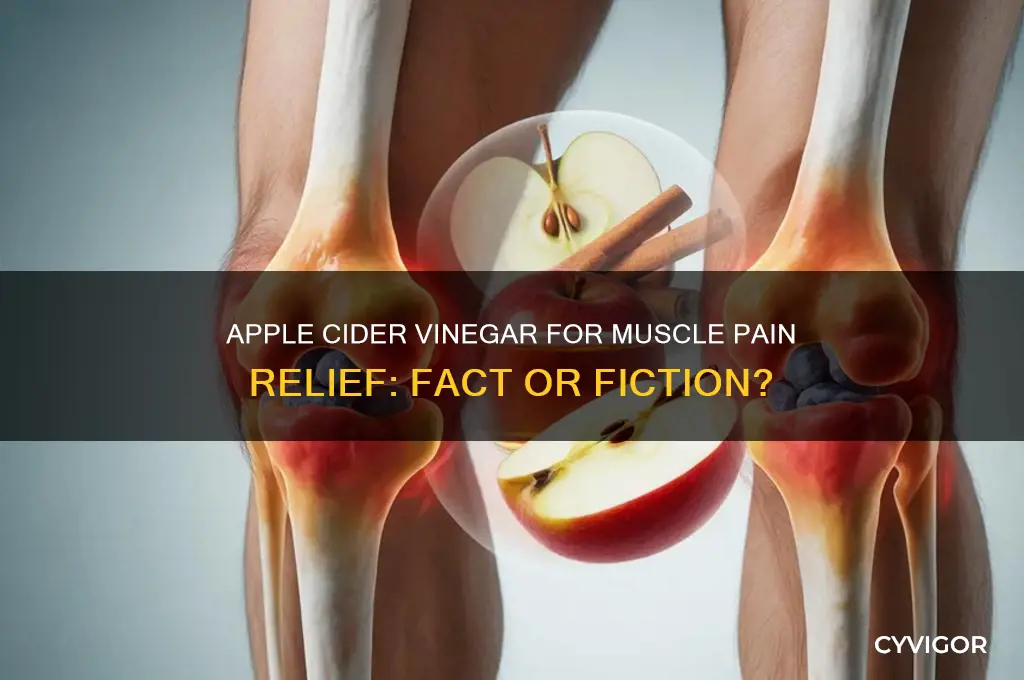 does apple cider vinegar reduce muscle pain