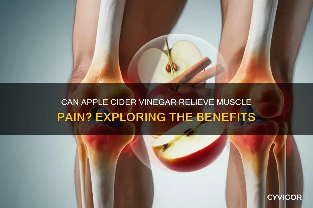 does apple ciderhelp muscle pain