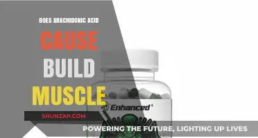 Arachidonic Acid: Muscle Builder or Myth?